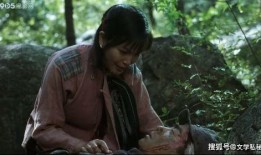 电影红嫂在线观看,战火中的巾帼英雄，感人肺腑的抗战传奇